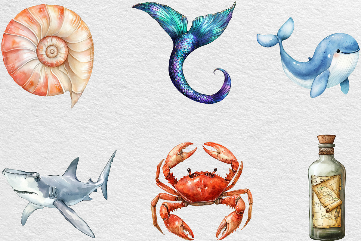 Undersea Watercolor Clipart, an Illustration by Black Bird Studio (Photo 6 of 6)