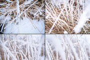 Frozen morning bundle /77pics, a Background Graphic by tydla (Thumbnail 6 of 12)