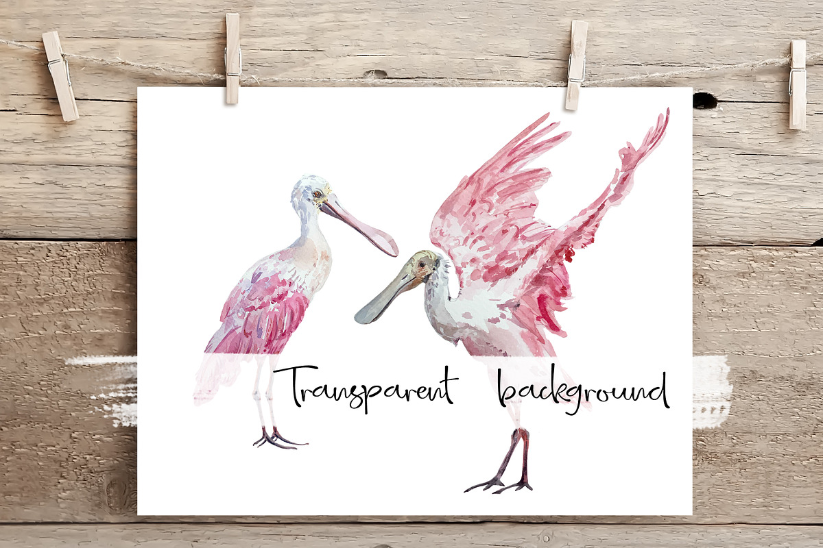 Roseate Spoonbill - Watercolor Print, an Illustration by Tati Bordiu (Photo 2 of 4)