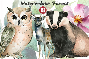 Watercolor Animal And Forest, an Illustration by DreamCafeArt