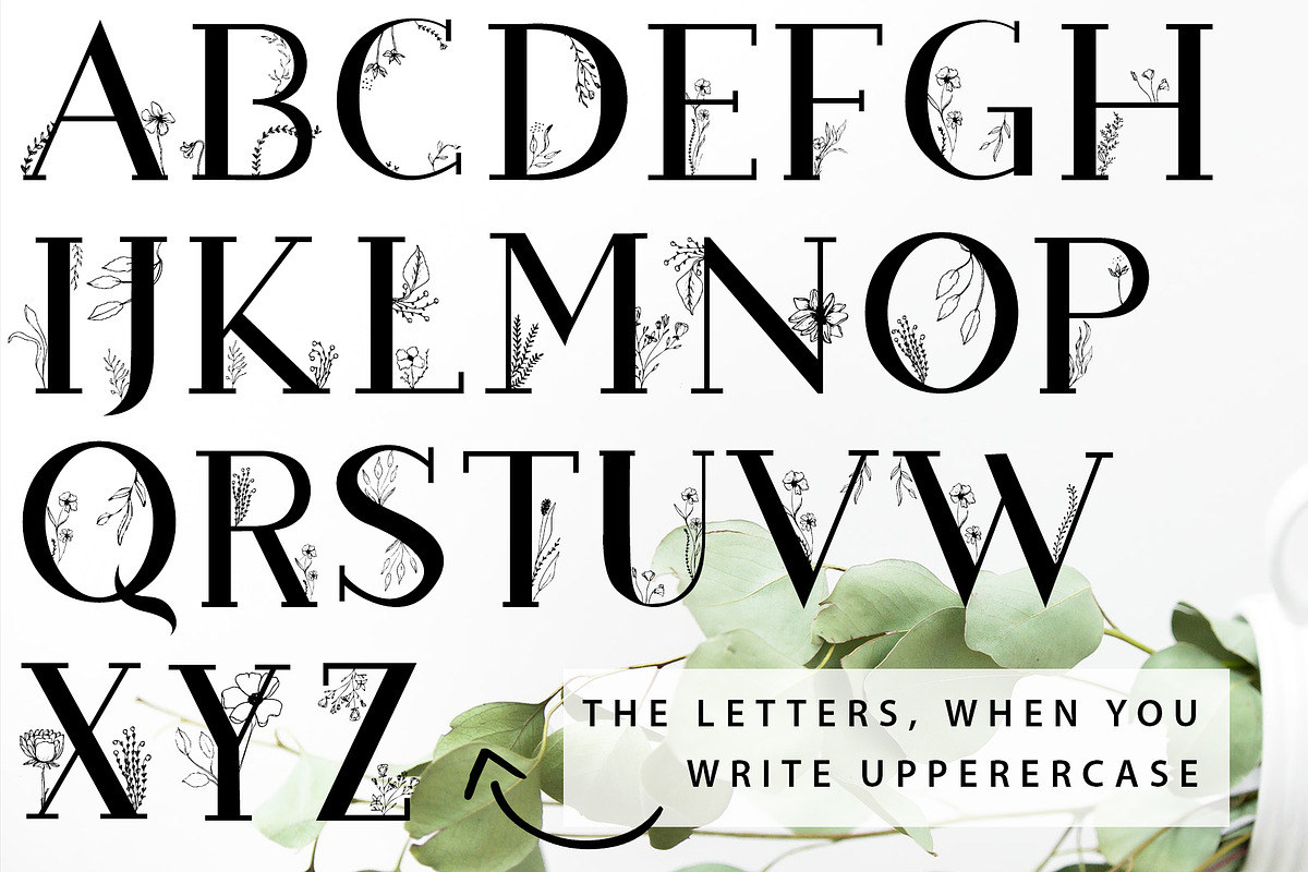 Blossom Font + EXTRAS, a Slab Serif Font by Chimerique (Photo 11 of 14)