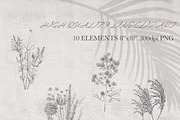 wildflower clipart, an Illustration by JULIA x JULIE's ART (Thumbnail 2 of 2)