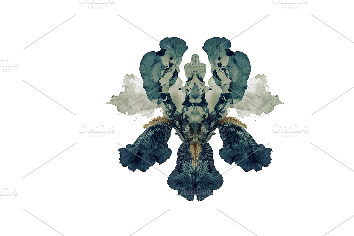 Heum Co. Botanical Inkblot Art, a Decorative Illustration by milatovar (Photo 7 of 20)