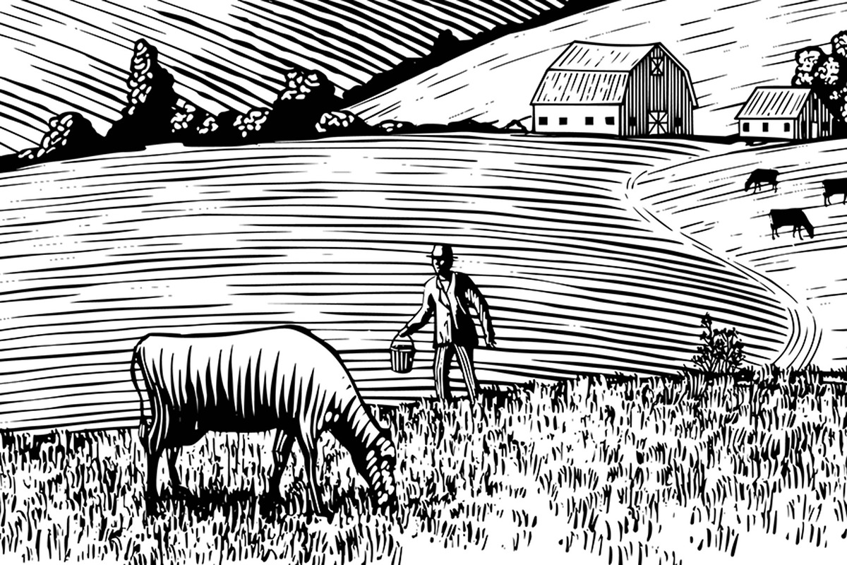 Farmer and His Cow, an Illustration by blue67sign (Photo 2 of 2)