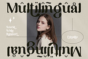 Emeratine - Classy and Modern Serif, a Serif Font by Eztudio (Thumbnail 10 of 15)