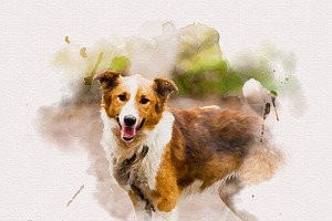 Pet Watercolor Effect Photoshop