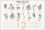 The PLANT. Autumn collection, a Pattern Graphic by NKTN (Thumbnail 4 of 18)