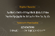 Regista - Display Serif, a Serif Font by Lettermine (Thumbnail 9 of 10)