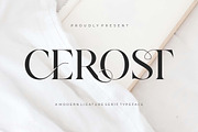 Cerost Modern Ligature Typeface, a Serif Font by Dylla_studio (Thumbnail 1 of 14)