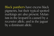 Montas - 7 Fonts, a Serif Font by Nasir Udin (Thumbnail 11 of 16)