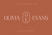 Chelvin Elegant Serif, a Serif Font by Dora Typefoundry (Thumbnail 10 of 20)