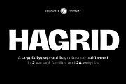 Hagrid 24 fonts + 4 variables, a Sans Serif Font by Zetafonts (Thumbnail 1 of 17)