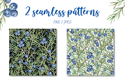 Juniper berries watercolor clipart, a Seasonal Illustration by Irina Avdeeva (Thumbnail 4 of 5)