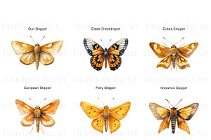 Skipper Butterfly Clipart, Butterfly