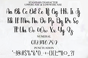 Enchanting, a Handwritten Font by FreshTypeINK (Thumbnail 6 of 8)