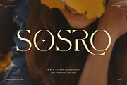 Sosro Elegant Serif Font, a Serif Font by Elegant Font (Thumbnail 1 of 8)