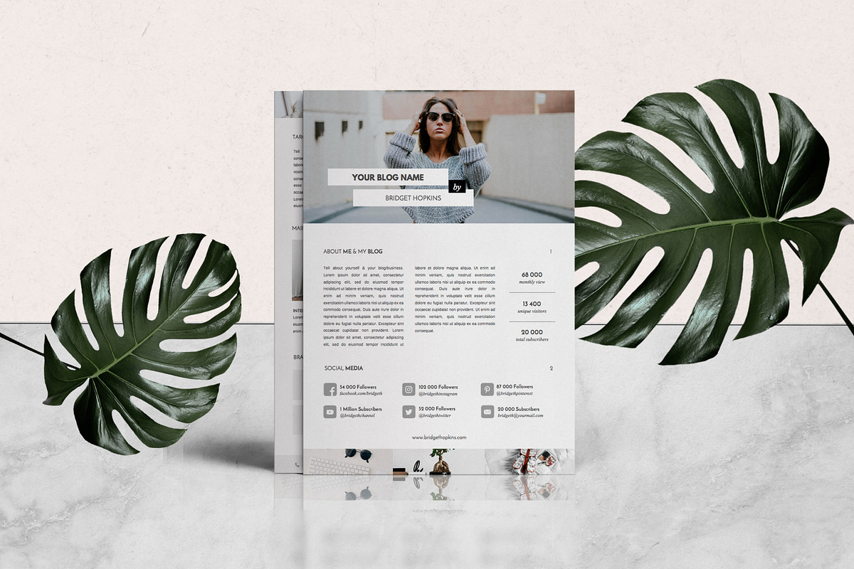 Media Kit & Ad Rate Sheet - 3 Pages, a Resume Template by Leo Resume (Photo 6 of 8)