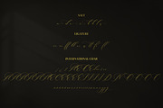 Alysthia, a Script Font by Integritype Studio (Thumbnail 7 of 7)