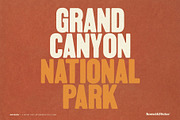 The Wood Type Font Bundle, a Font by Komet & Flicker (Thumbnail 2 of 13)