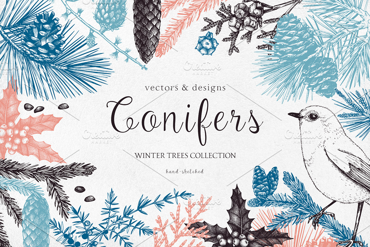 Vintage Winter Plants Collection, an Object Graphic by Yevheniia (Photo 1 of 8)