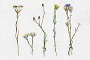 Autumn vibes. Watercolor set, a Decorative Illustration by Maria's little shop (Thumbnail 3 of 10)