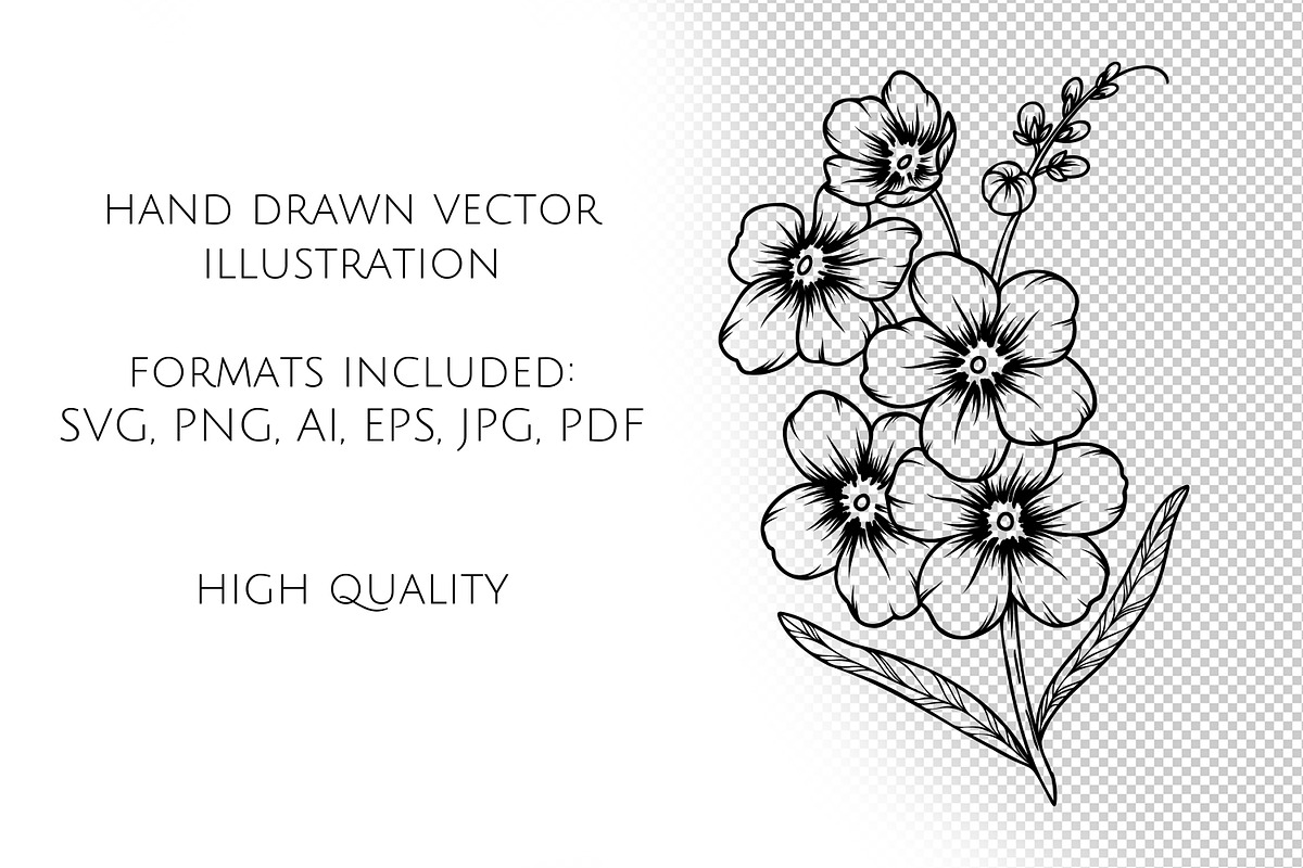 Forget-me-not SVG clipart, an Object Graphic by Dervik Art Store (Photo 7 of 8)