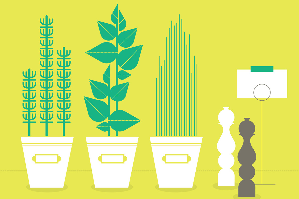 Herb Garden, a Decorative Illustration by EightHourDay