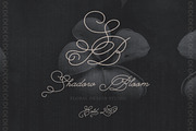 The Poetry Elegant Swash Script Font, a Script Font by AnMark (Thumbnail 7 of 13)