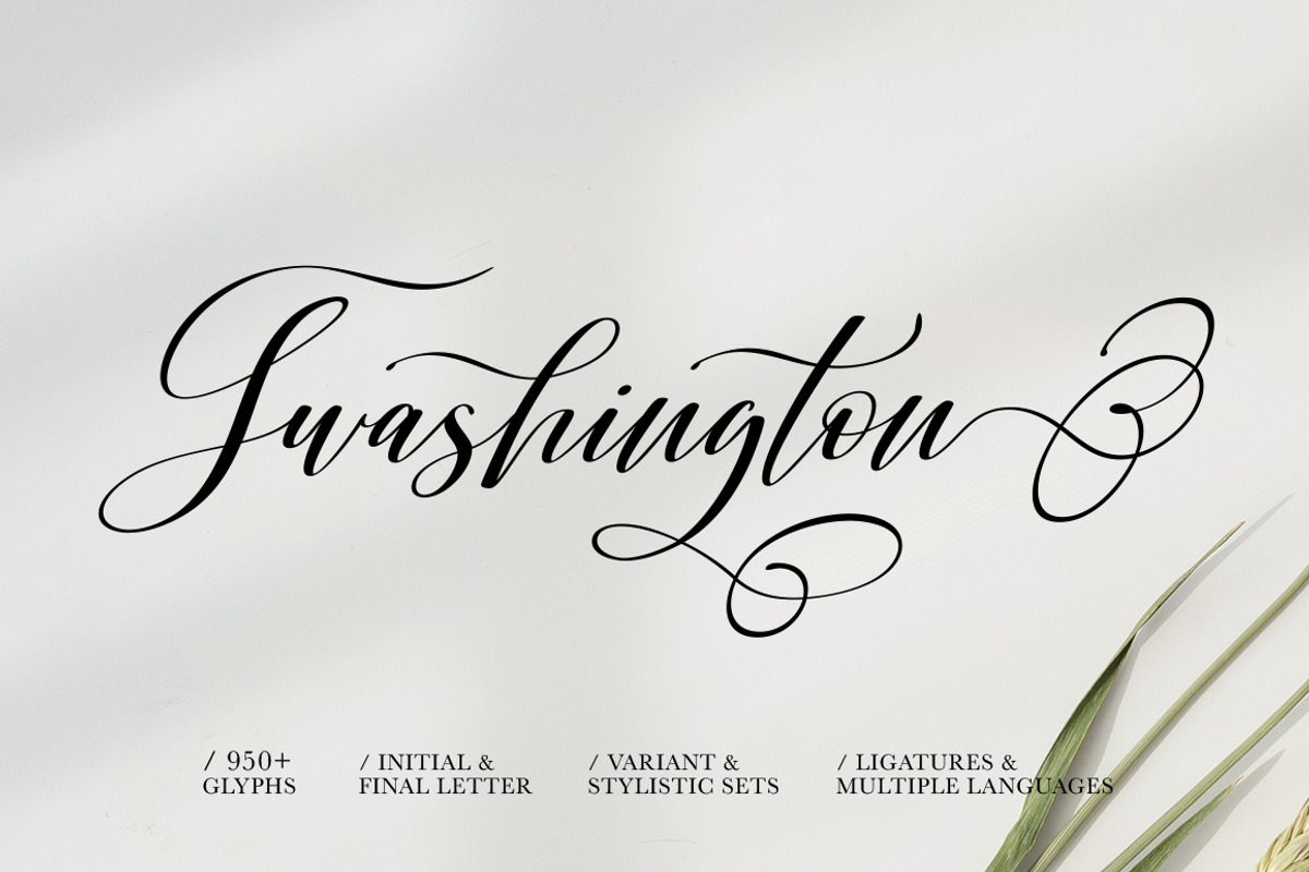 Shington Script preview 3