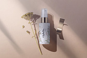 Watercolor Botanical Forest Set, an Animal Illustration by BarvArt (Thumbnail 12 of 20)