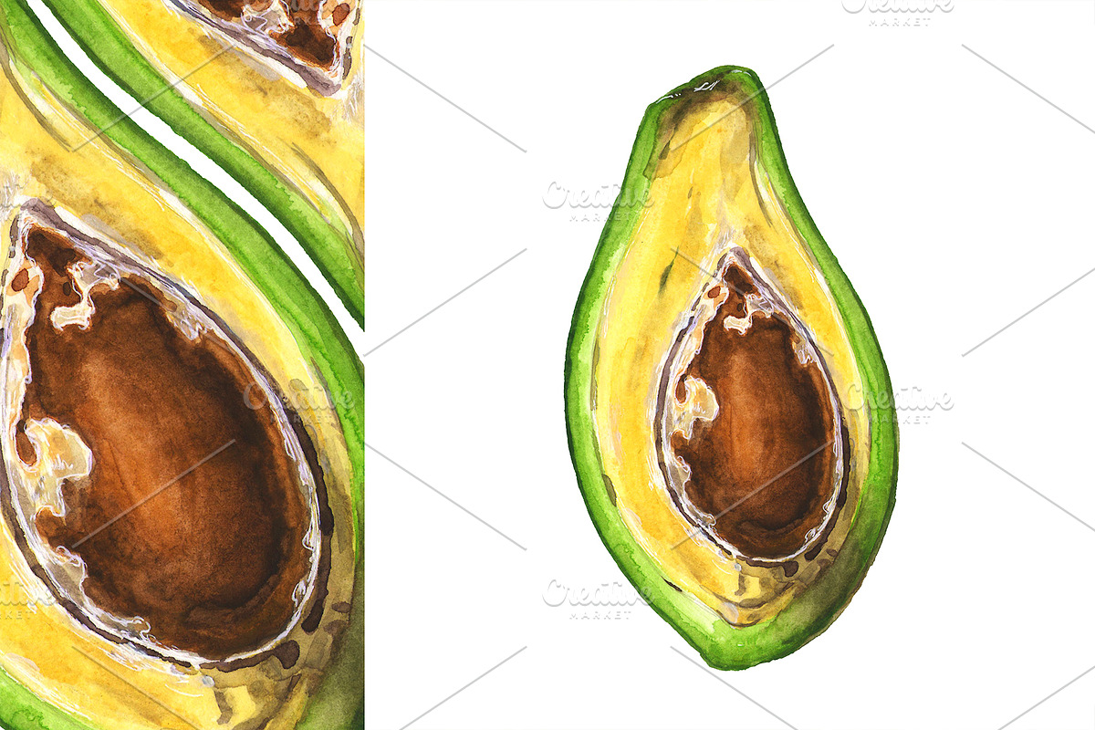 Hand-drawn watercolor Avocado, a Food Illustration by Margo Miller (Photo 5 of 12)