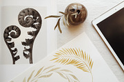 Watercolor Autumn Leaves Bundle, an Illustration by Helga Wigandt (Thumbnail 3 of 18)