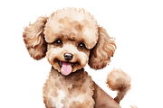 11PNG WATERCOLOR CUTE DOGS CLIPART, an Animal Illustration by Vachira Digital Studio (Thumbnail 4 of 5)