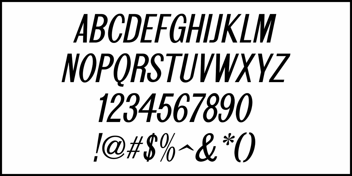 Grotesk Sans JNL, a Sans Serif Font by Jeff Levine Fonts (Photo 5 of 5)