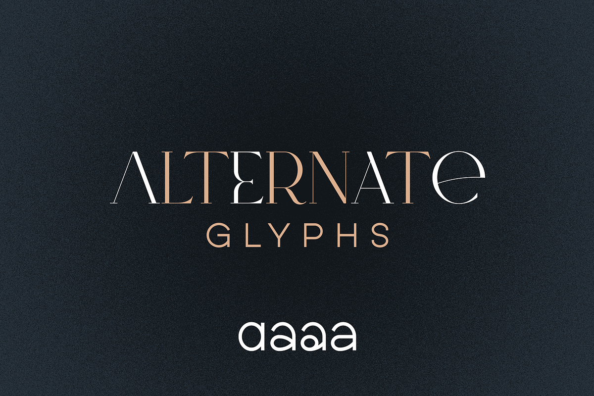 SALE! Type Maestro + Quasar font duo, a Serif Font by VP Fonts (Photo 15 of 18)