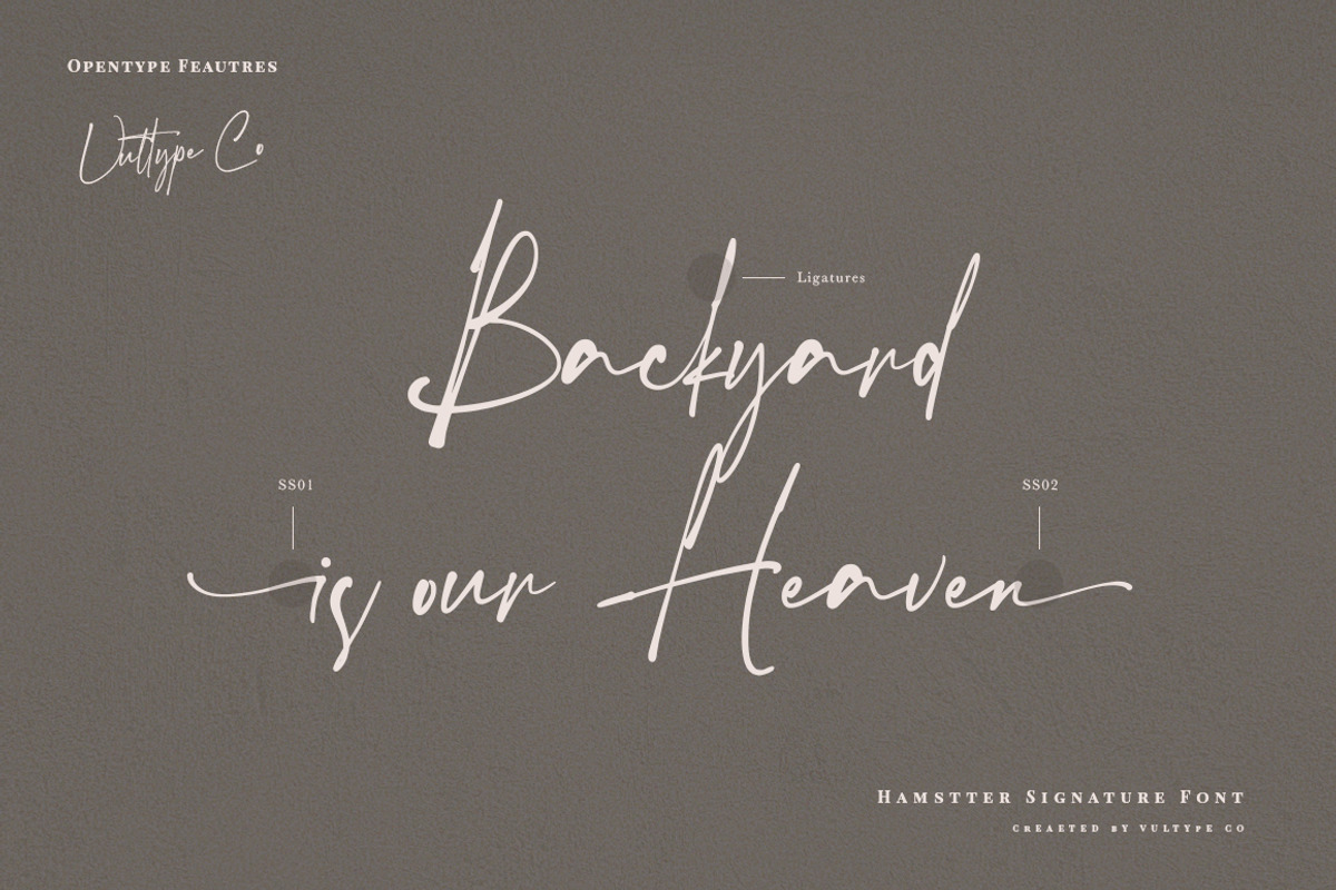 The Hamstter Signature Font, a Script Font by Vultype Co. (Photo 4 of 11)