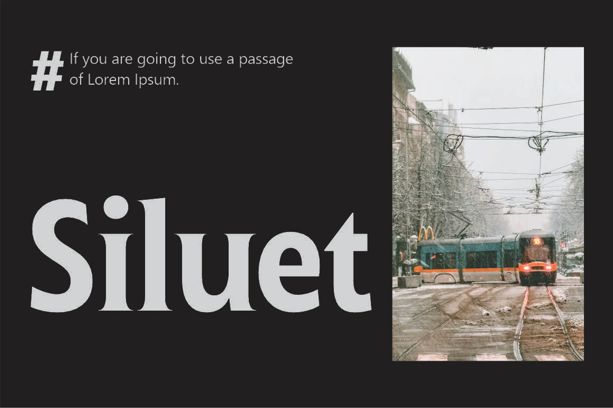 Ginfitanle, a Serif Font by studiobasic (Photo 4 of 11)