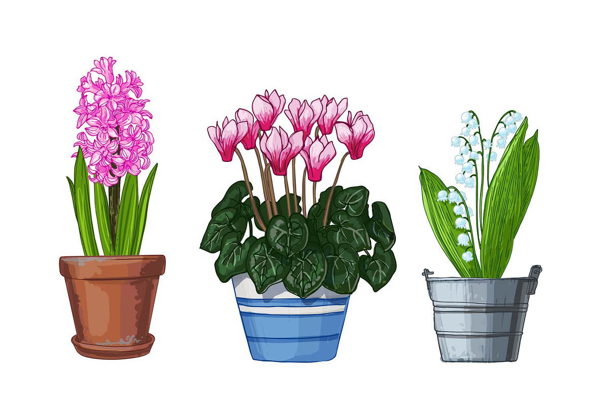 Garden flowers in pots. Vector, an Object Illustration by irina.vaneeva (Photo 5 of 7)