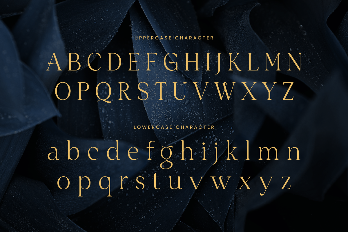 Siren - Lavish Luxury Font, a Serif Font by Sensatype (Photo 9 of 12)