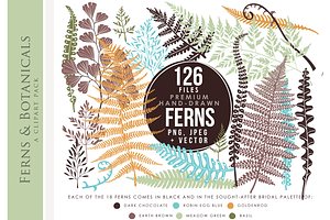 Ferns clip art hand drawn clipart