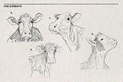 Sketch of a cow PNG, an Animal Illustration by LOKSKIH (Thumbnail 4 of 7)