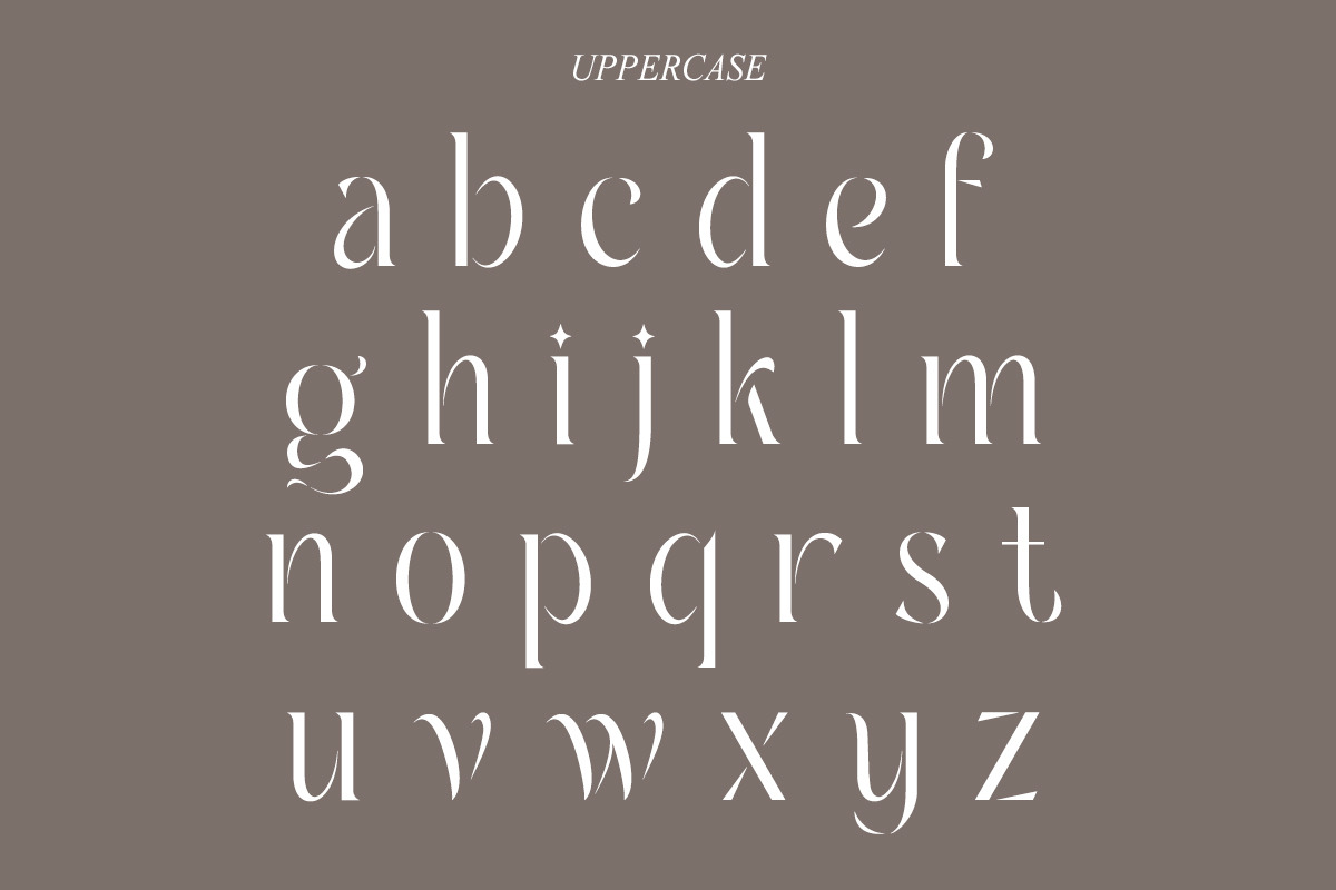 Ambrosia | Modern Serif, a Serif Font by Muntab_Art (Photo 10 of 11)