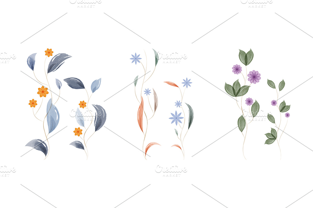 Watercolor floral stems with, an Illustration by okskukuruza