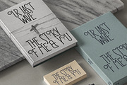 Reina Sofia - Vintage Display Serif, a Serif Font by SilverStag Type Foundry (Thumbnail 10 of 30)