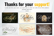 Le Maire - Modern Cursive Script, a Script Font by Pixesia Studio (Thumbnail 11 of 11)