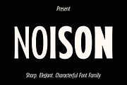 Noison Font Family, a Sans Serif Font by LoneArmy (Thumbnail 1 of 12)