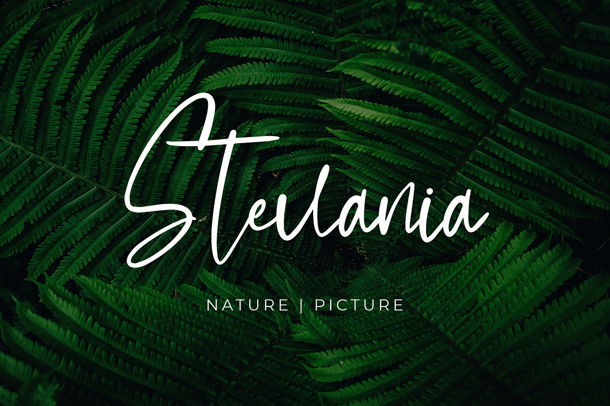Burkellia Handwriting Script Font, a Script Font by NTC Graphic (Photo 7 of 9)
