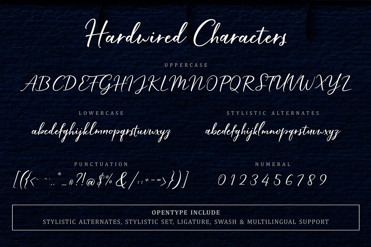 Hardwired Script - UPDATE, a Script Font by FadeLine Studio (Photo 12 of 13)
