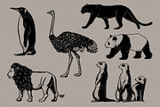 Linocut Zoo, Animal illustrations, an Animal Illustration by Garden in frame (Thumbnail 7 of 7)