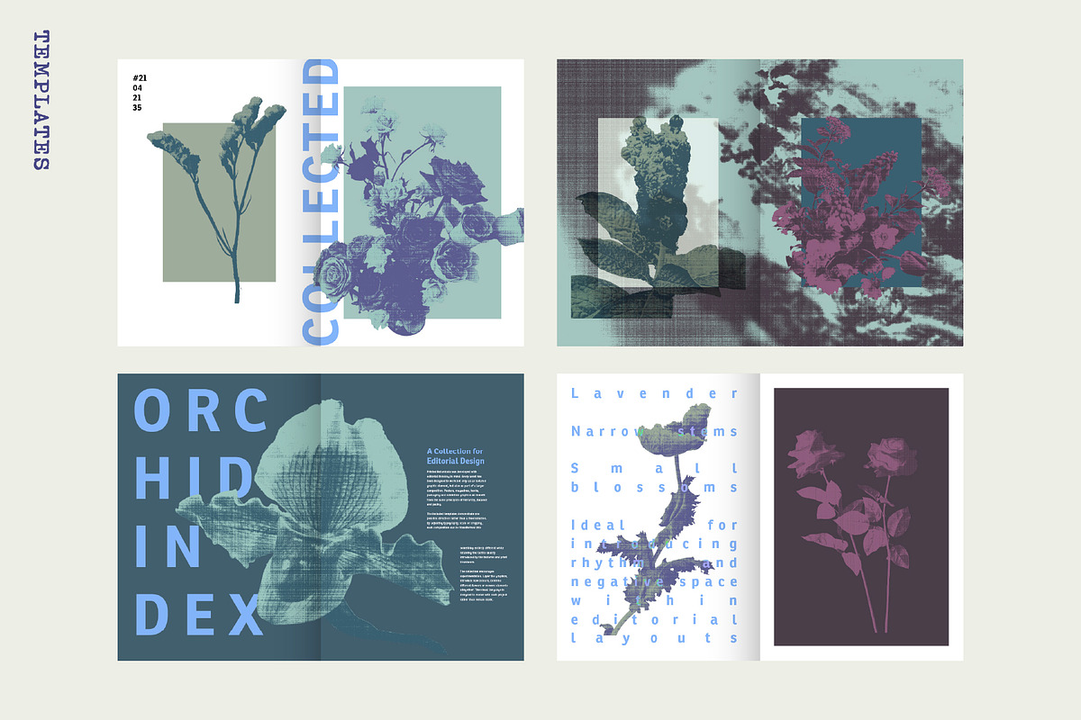 Printed Botanical Graphics, an Object Graphic by Neatly Made Studio (Photo 15 of 17)